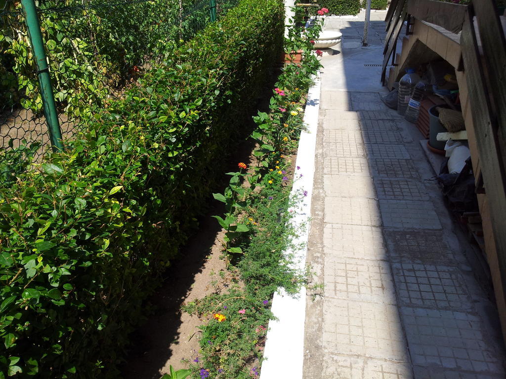 The House Next To The Beach Ξενοδοχείο Σωζόπολη Εξωτερικό φωτογραφία